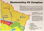 skameneliny1